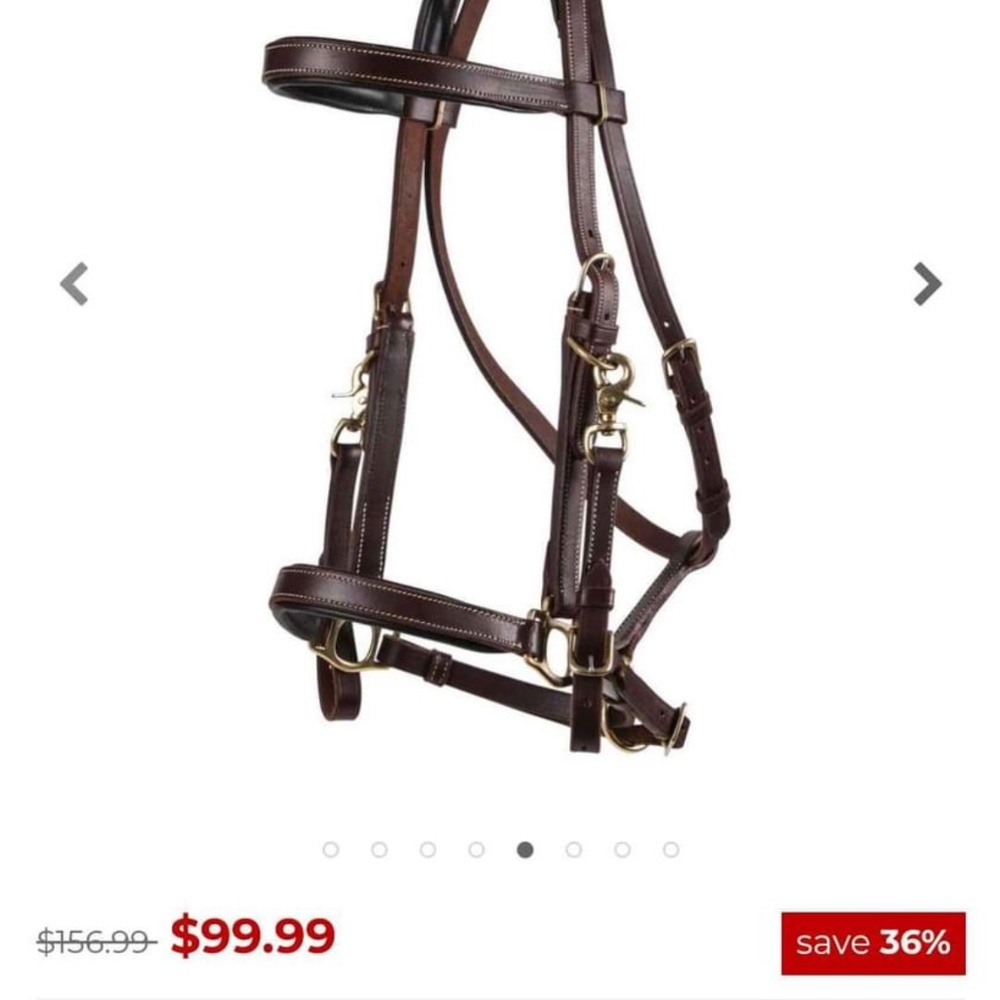 Horse trail bridle